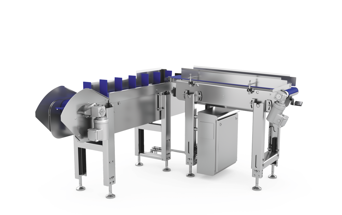 MULTIVAC Packaging Machine Conveyor System
