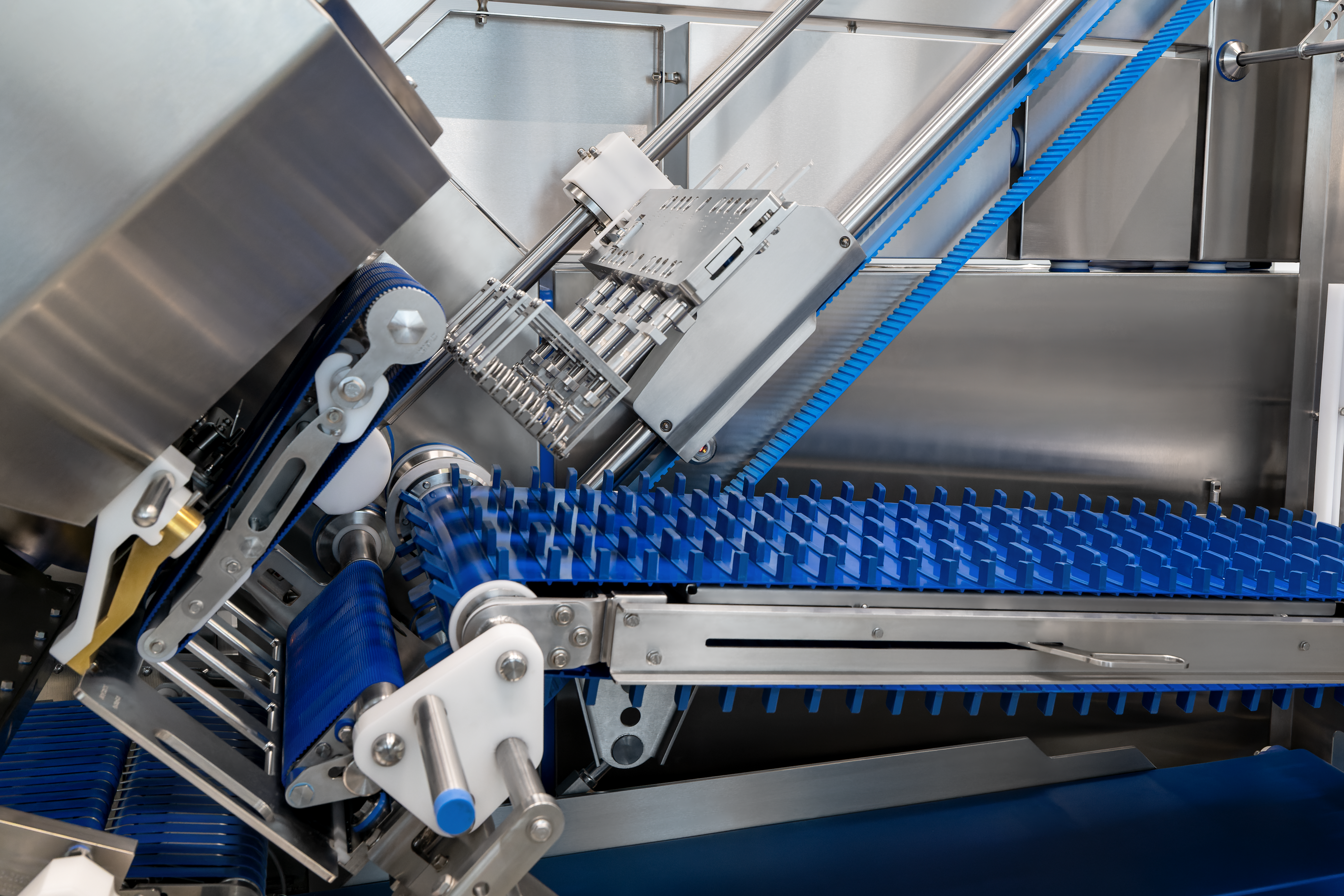 MULTIVAC Packaging Machine with Conveyor System