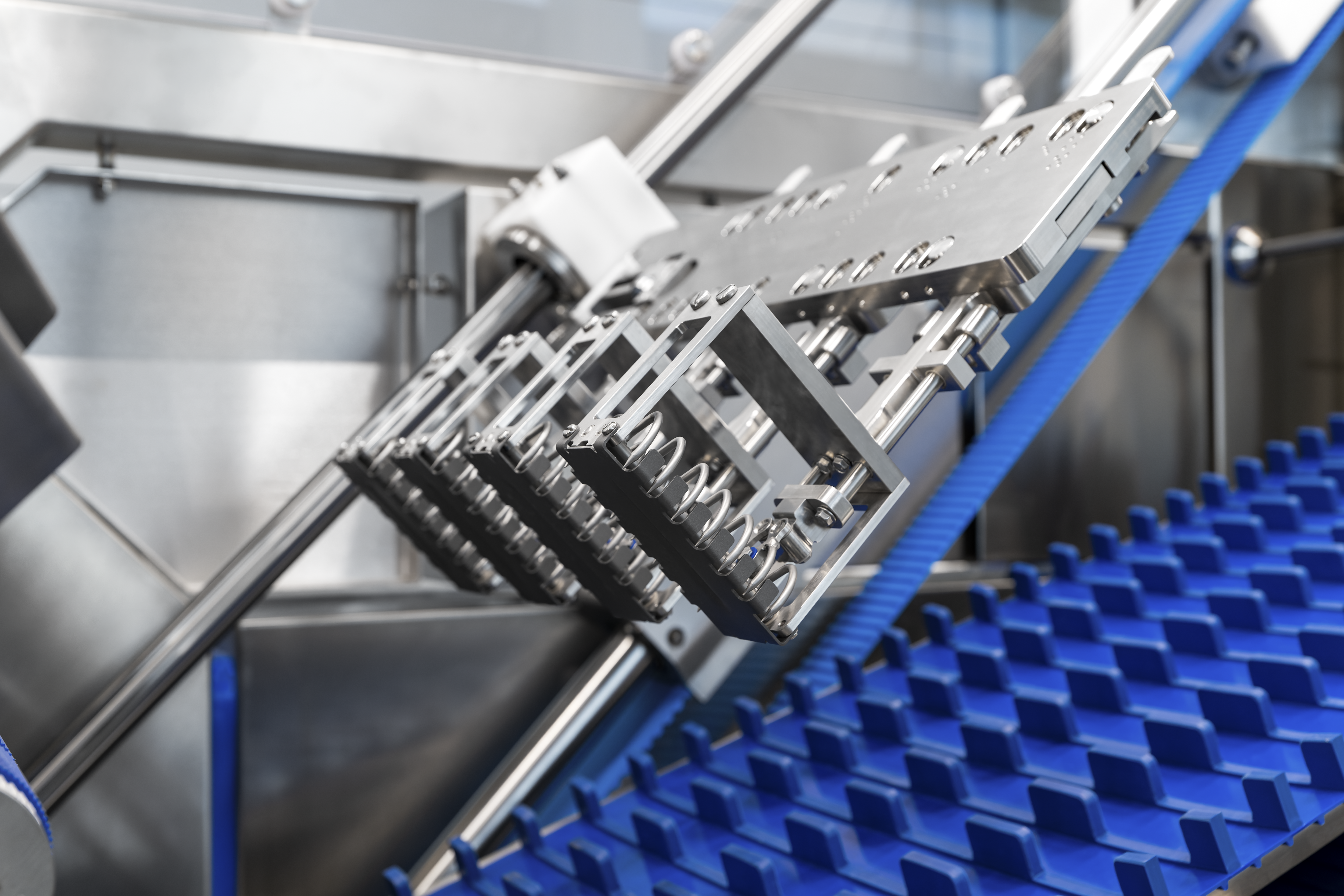 MULTIVAC Packaging Machine with Conveyor System