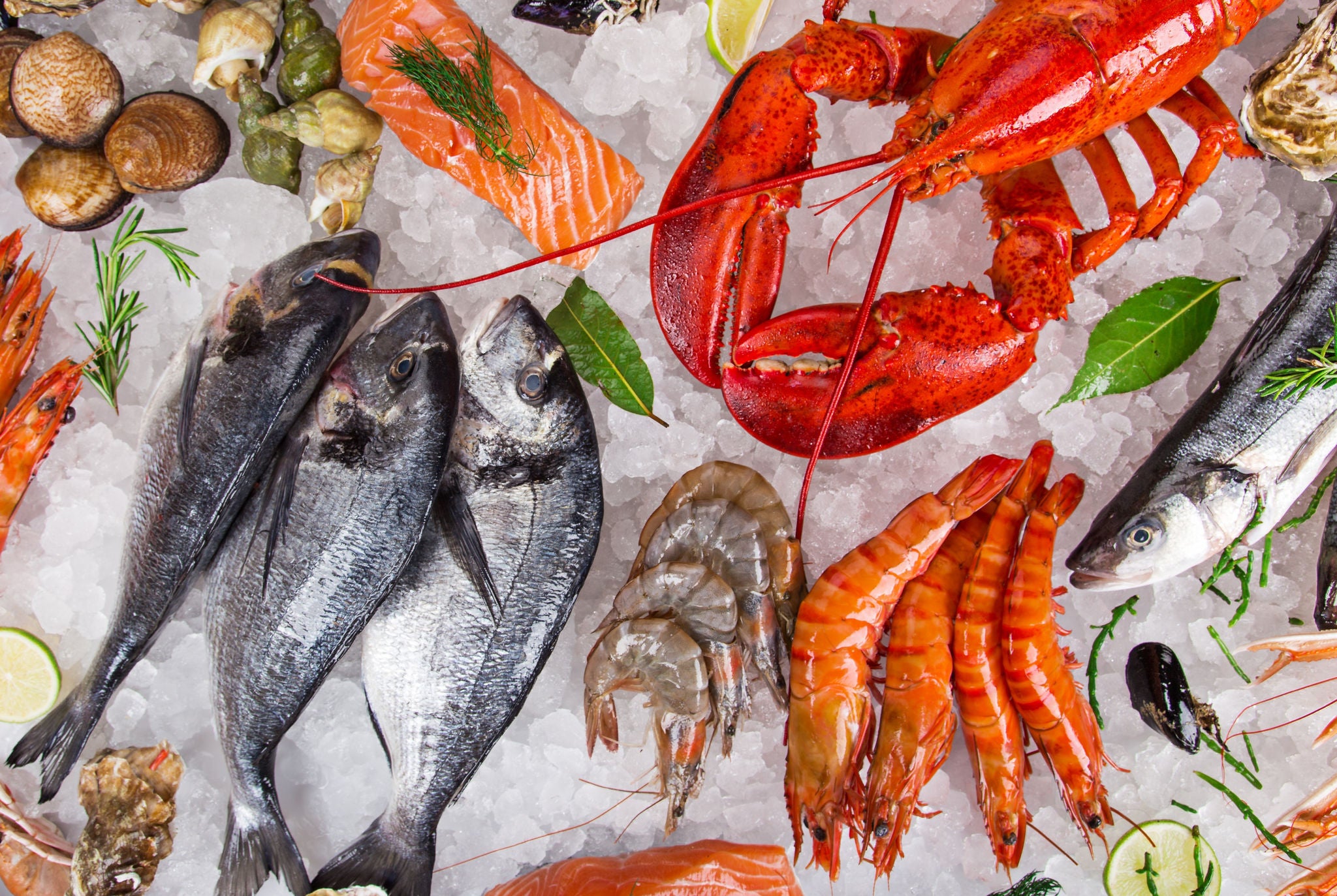 Fresh Seafood Assortment on Ice with Lobster and Fish