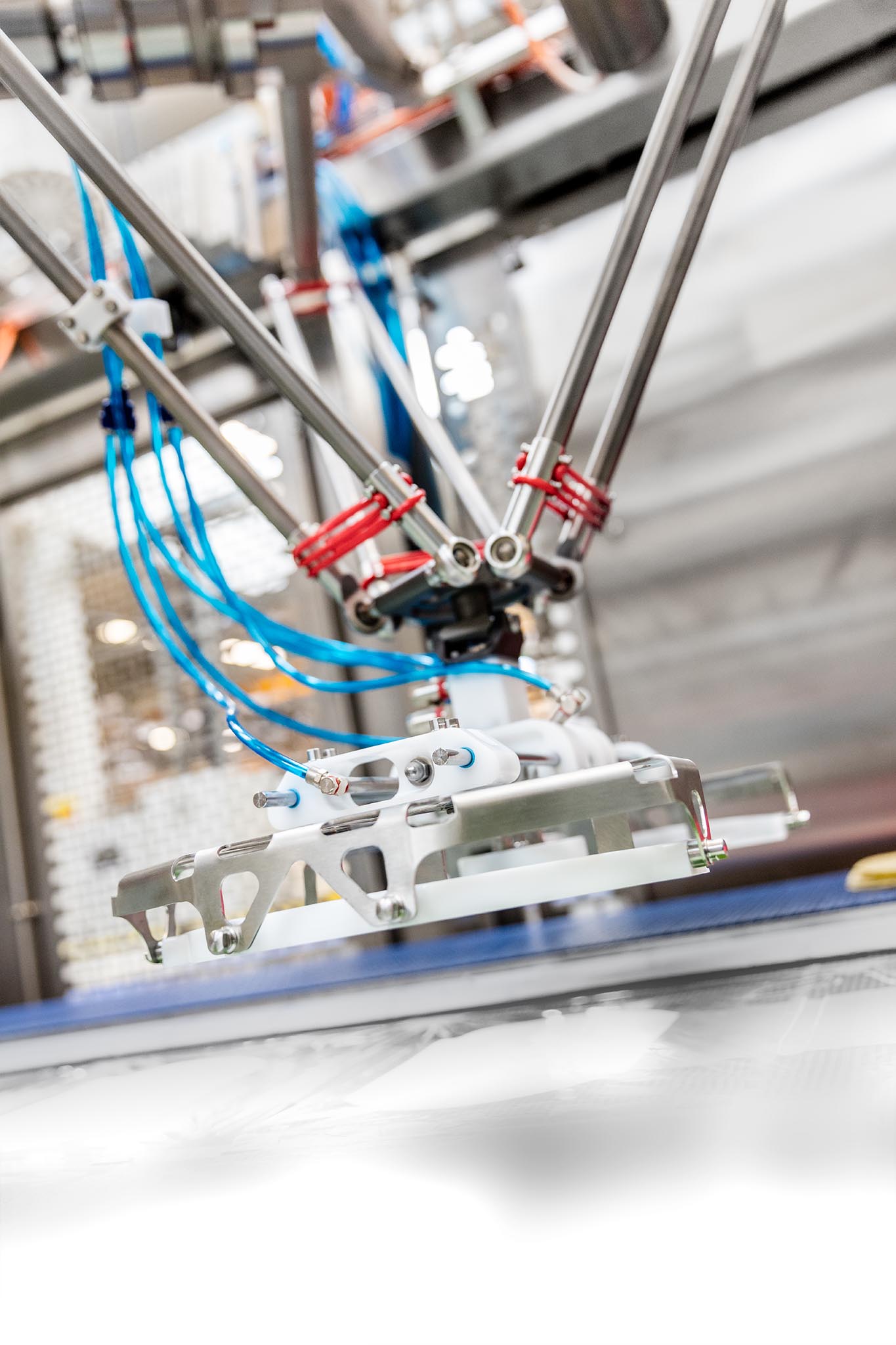 MULTIVAC Robotic Arm Precision Engineering