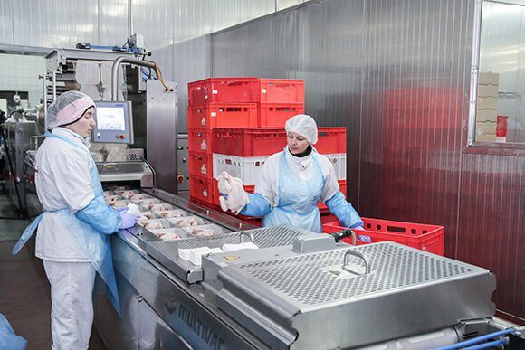 MULTIVAC Packaging Machine in Food Processing Facility MULTIVAC Packaging Machine in Food Processing Facility