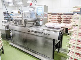 MULTIVAC T300 Meat Packaging Machine in Factory MULTIVAC T300 Meat Packaging Machine in Factory