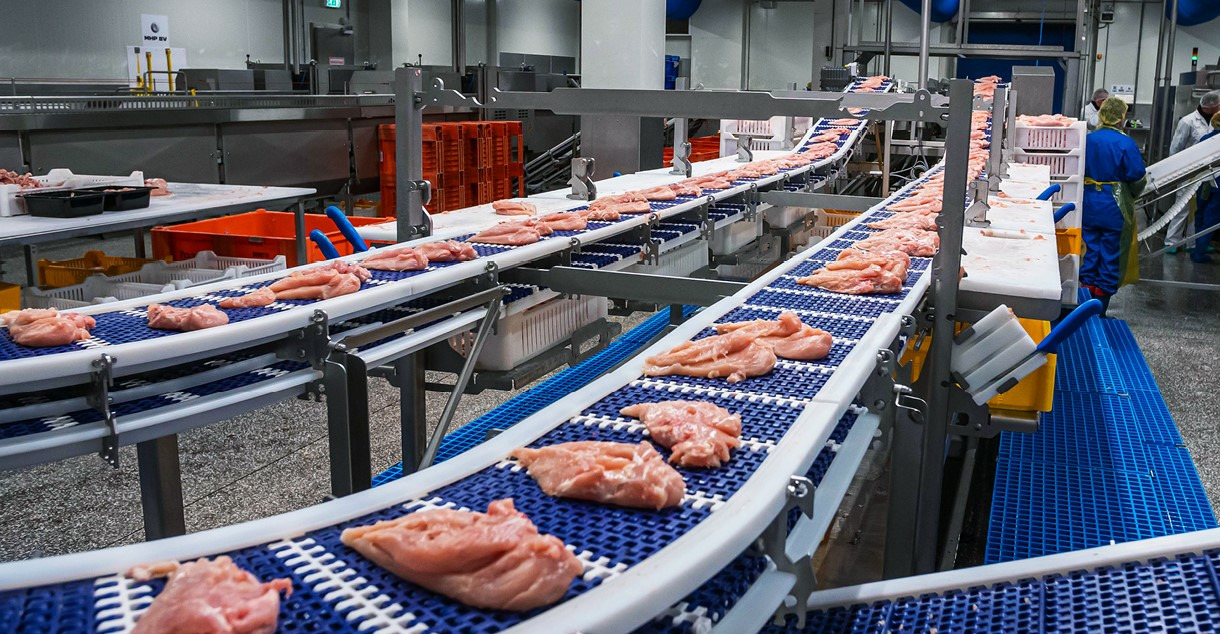 MULTIVAC Meat Processing Conveyor System MULTIVAC Meat Processing Conveyor System