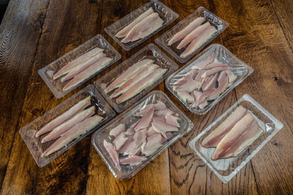 Vacuum Packaging Machine MULTIVAC for Fish Fillets Vacuum Packaging Machine MULTIVAC for Fish Fillets