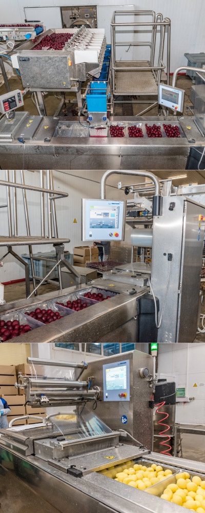 MULTIVAC Food Packaging Machine in Action MULTIVAC Food Packaging Machine in Action
