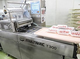 MULTIVAC T300 Packaging Machine in Action MULTIVAC T300 Packaging Machine in Action