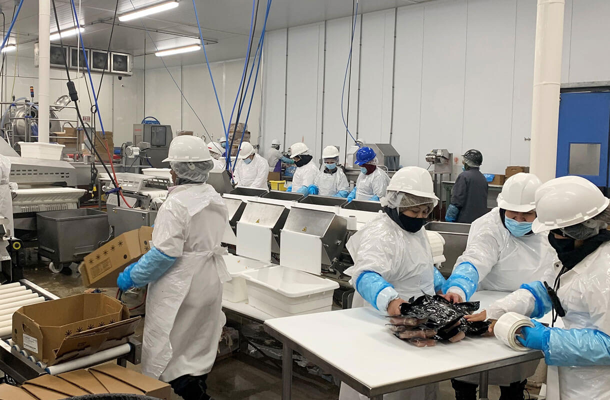 MULTIVAC Food Processing Equipment in Factory MULTIVAC Food Processing Equipment in Factory