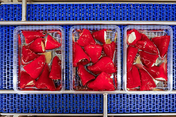 Food Packaging Machine MULTIVAC Efficiency Food Packaging Machine MULTIVAC Efficiency