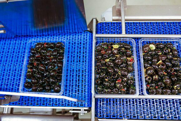 MULTIVAC Packaging Machine for Black Olives MULTIVAC Packaging Machine for Black Olives