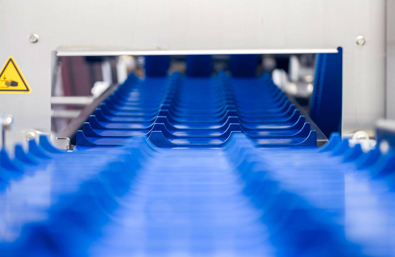 MULTIVAC Packaging Machine Conveyor System