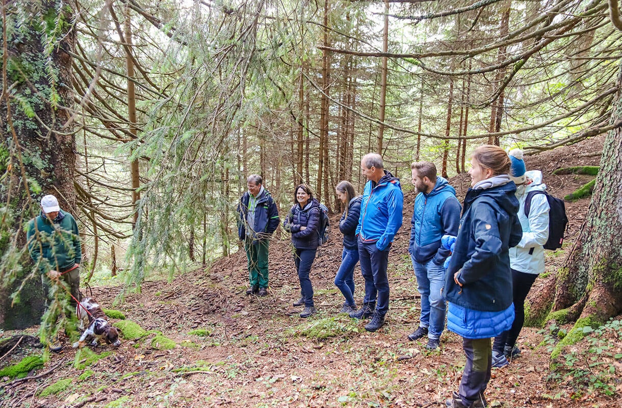 Forest Group Hiking Adventure Forest Group Hiking Adventure